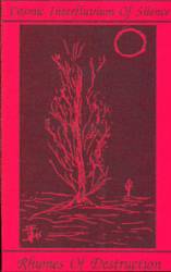 Rhymes Of Destruction : Cosmic Interfluvium of Silence - Rhymes of Destruction